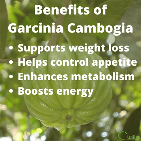 Benefits of Garcinia Cambogia - qsm - Quality Supplement MFG