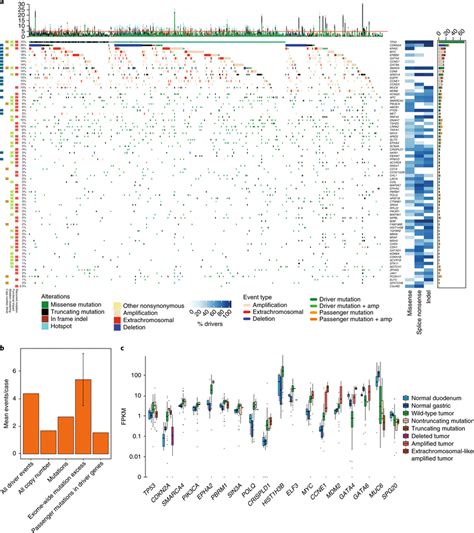 The Driver Gene Landscape Of Eac A Driver Mutations Or Cnvs Are Shown Download Scientific