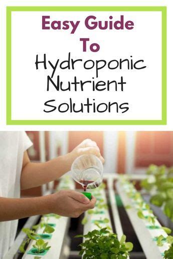 Simple Guide To Hydroponic Nutrient Solutions Learn All You Need To