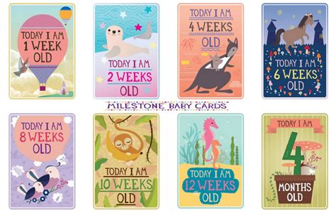 MILESTONE Baby Cards Just4bb