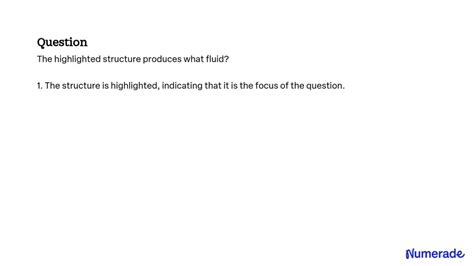 Solved The Highlighted Structure Produces What Fluid