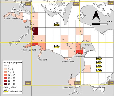 Age And Lunar Cycle Predict Harbor Porpoise Bycatch In The South