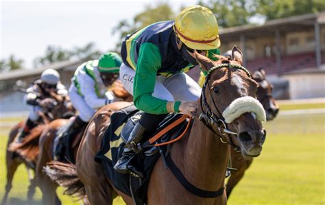 Kalifornia Queen ist Königin von Berlin Deutscher Galopp