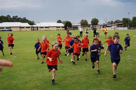 Primary School Cross Country Court Grammar School