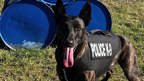 Septa Transit Police Departments K9 Swen Receives Body Armor Donation