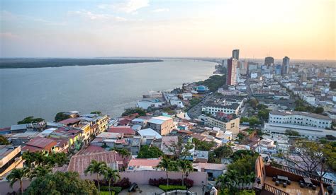 Safari to Hilton Colon Guayaquil with Africa Travel Resource