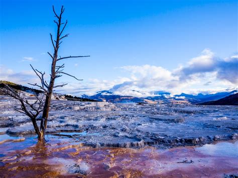 The Terrace Tree Smithsonian Photo Contest Smithsonian Magazine