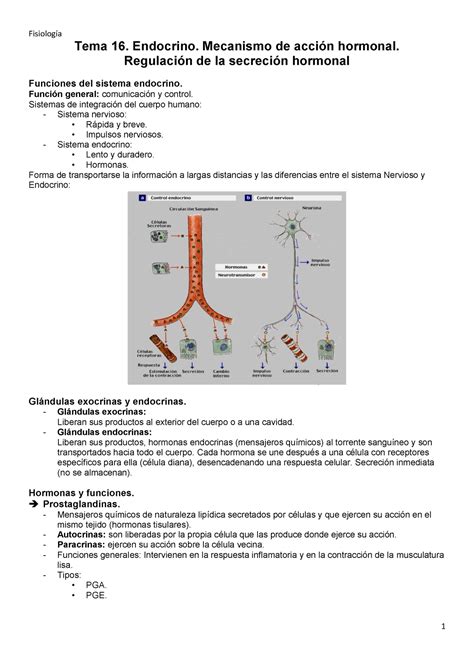 Segundo parcial de fisiología Tema 16 Endocrino Mecanismo de acción