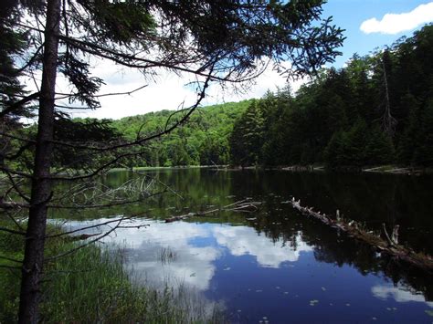 photo windfall pond andy arthurorg