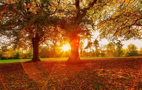 Autumn Trees Sunsets Wallpapers Wallpaper Cave