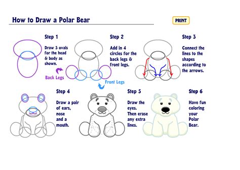 How To Draw A Polar Bear Wkn Webkinz Newz