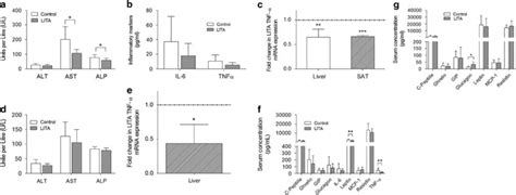 Acetate Improves Liver Function And Inflammation A Serum