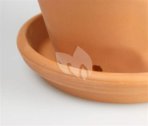 Plantenwinkel Nl Terracotta Muur Bloempot Rond 13x13 Cm Inclusief