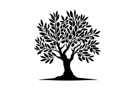 Olive Tree Branches And Leaves Isolated Silhouette Stock Illustration