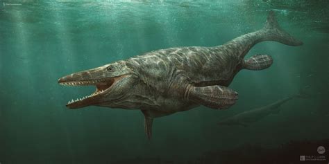 Tylosaurus Wallpapers - Wallpaper Cave