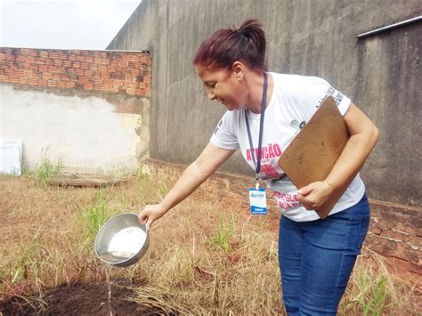 Ações Contra Dengue São Intensificadas Pela Saúde Gazeta Regional