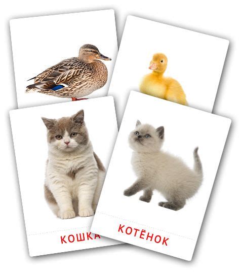 Карточки Домана на тему «Животные и их детеныши» | Развивающие ...