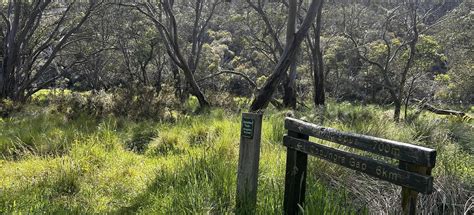 Brandy Creek Mine to Cobungra River, Victoria, Australia - 7 Reviews, Map | AllTrails