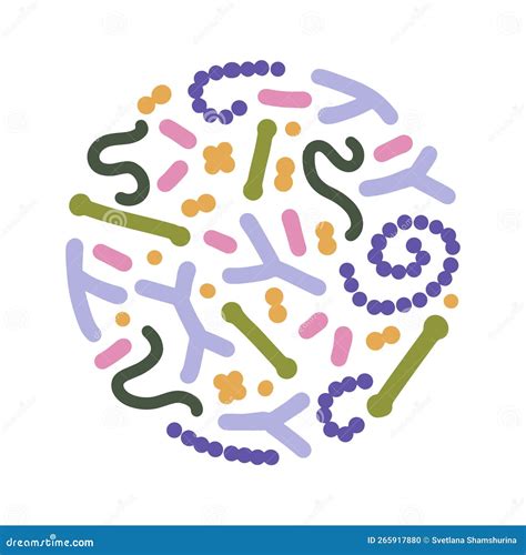 Concept Of Probiotics In Round Shape Bifidobacterium Lactobacillus