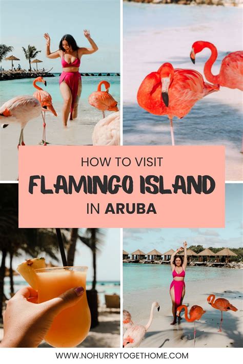 Flamingo Beach Aruba: Is It Worth It? How To Get There + More