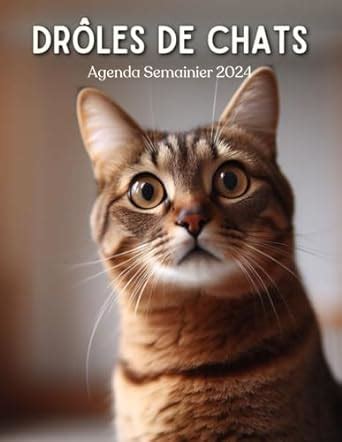 Amazon fr Agenda Semainier 2024 2025 Calendrier Drôles de chats