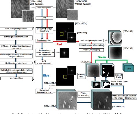 Pdf Automatic Phase Aberration Compensation For Digital Holographic