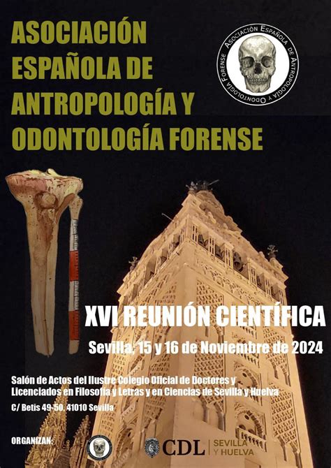 Aeaof Asociaci N Espa Ola De Antropolog A Y Odontolog A Forense