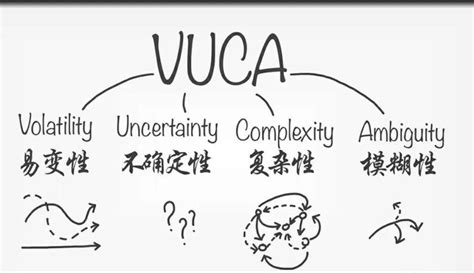 Vuca时代来临，作为领导者，你准备好了吗？手机新浪网