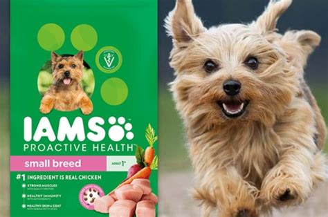 Iams Dry Dog Food - New & Rare High-Value $3/1 Printable Coupon