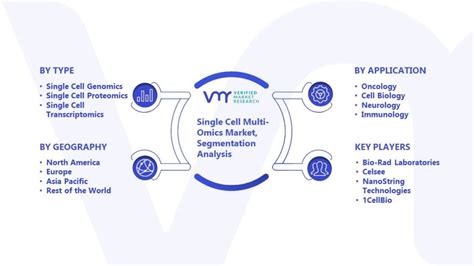 Single Cell Multi Omics Market Size Share Scope Tends Forecast