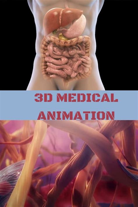 An Image Of The Human Body With 3d Medical Animation On Its Side And