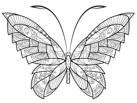 Coloriage Incroyable Papillon Adulte T L Charger Et Imprimer Gratuit