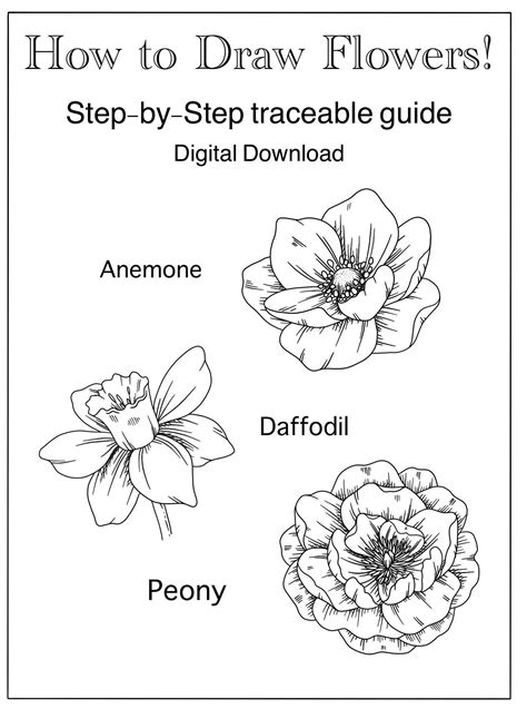 How To Draw Flowers Step By Step With Pictures