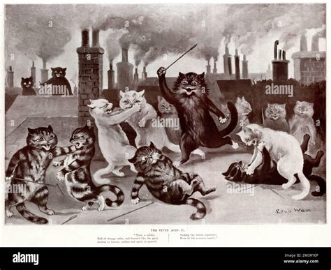 Louis Wain Cats Fighting Hi Res Stock Photography And Images Alamy