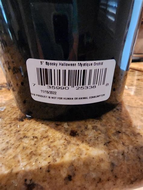 Hoe to keep this orchid alive long term? : r/orchids