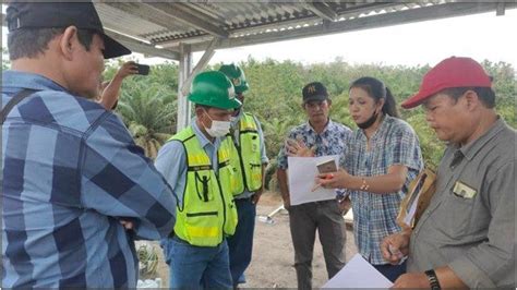 Ptba Diduga Serobot Lahan Kebun Sawit Warga Di Muara Enim Ditambang