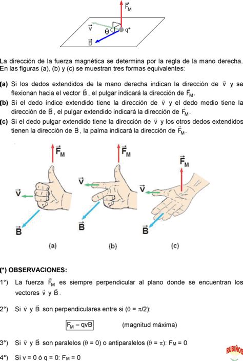 Campo Magn Tico Fuerza Magn Tica Oerested Ejercicios Resueltos