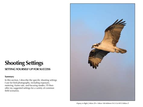 Nikon Z Z Settings For Bird And Wildlife Photography Jason P