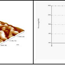 Afm Images Cap Nps Particles Coated With Casein And Size Distribution