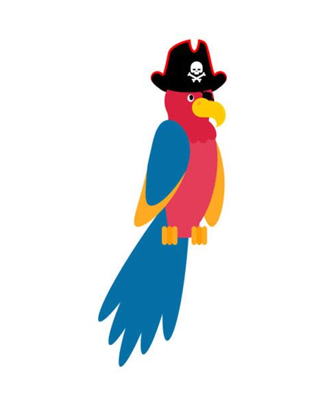 Cartoon Pirate Parrot