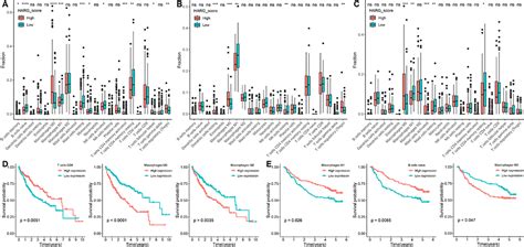 Prognostic Hypoxia Angiogenesis Related Gene Signature In Hepatocellul