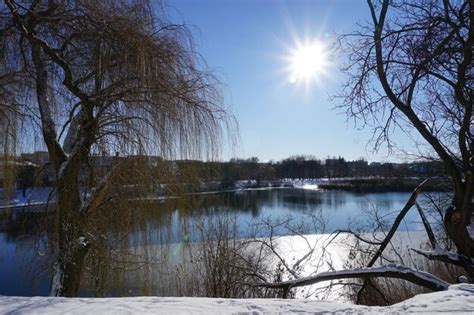 Premium Photo | Lake in city park in winter on sunny day