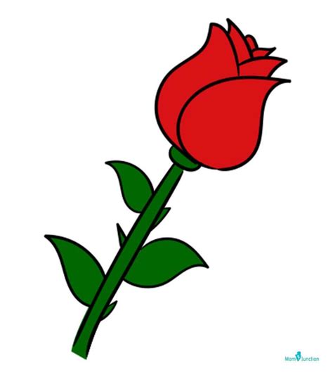 How To Draw A Rose? A Step-By-Step Tutorial For Kids | MomJunction