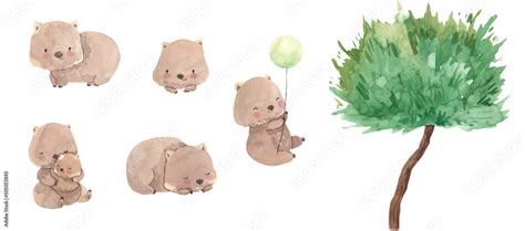 Watercolor Wombat Australian Animals Illustration For Kids Stock