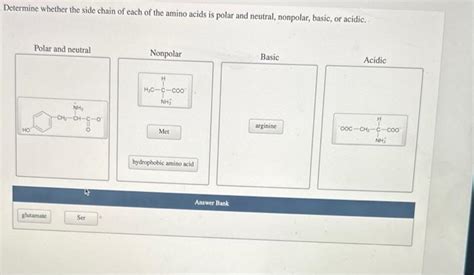 Solved Determine Whether The Side Chain Of Each Of The Amino