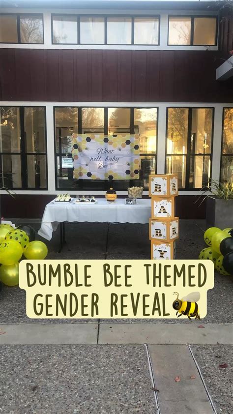 He Or She What Will Baby Bee Gender Reveal Party Diy Honey Pot