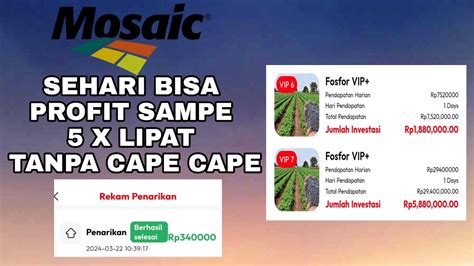 REVIEW MOSACCO INVEST PENGHASIL UANG LEGIT 2024 YUK MUMPUNG UPDATE