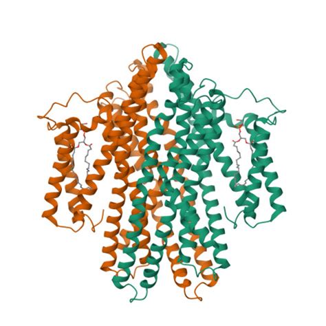 Rcsb Pdb P Cryo Em Structure Of The Proton Dependent