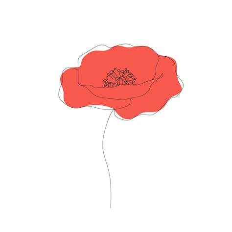 Premium Vector Poppies Flower Continuous Line Drawing Abstract