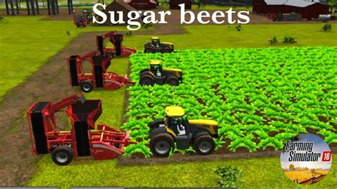 Planning And Harvesting Sugar Beets In Farming Simulator Fs